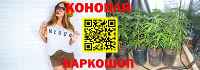 дмт Малгобек