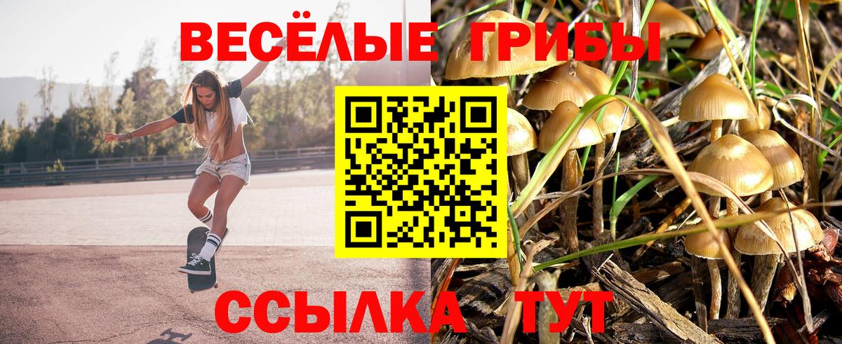 Барнаул  Галлюциногенные грибы мухоморы  Вход с VPN 